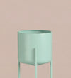 Large mint pot on stand
