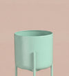 Small mint pot on stand
