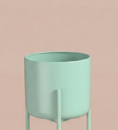 Small mint pot on stand