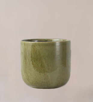 Nine Gloss Olive Green 14cm