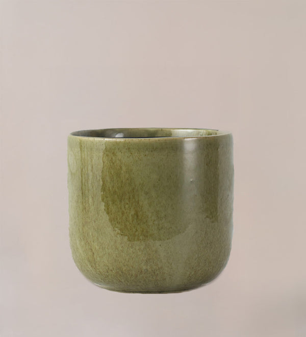 Nine Gloss Olive Green 14cm