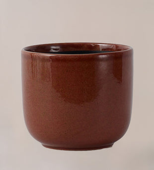 Nine Gloss Caramel 19cm