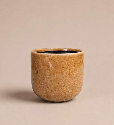 Nine Gloss Caramel 14cm
