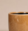 Nine Gloss Caramel 14cm