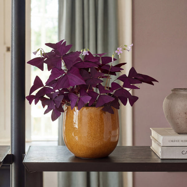 Ochre Plant Pot 14cm
