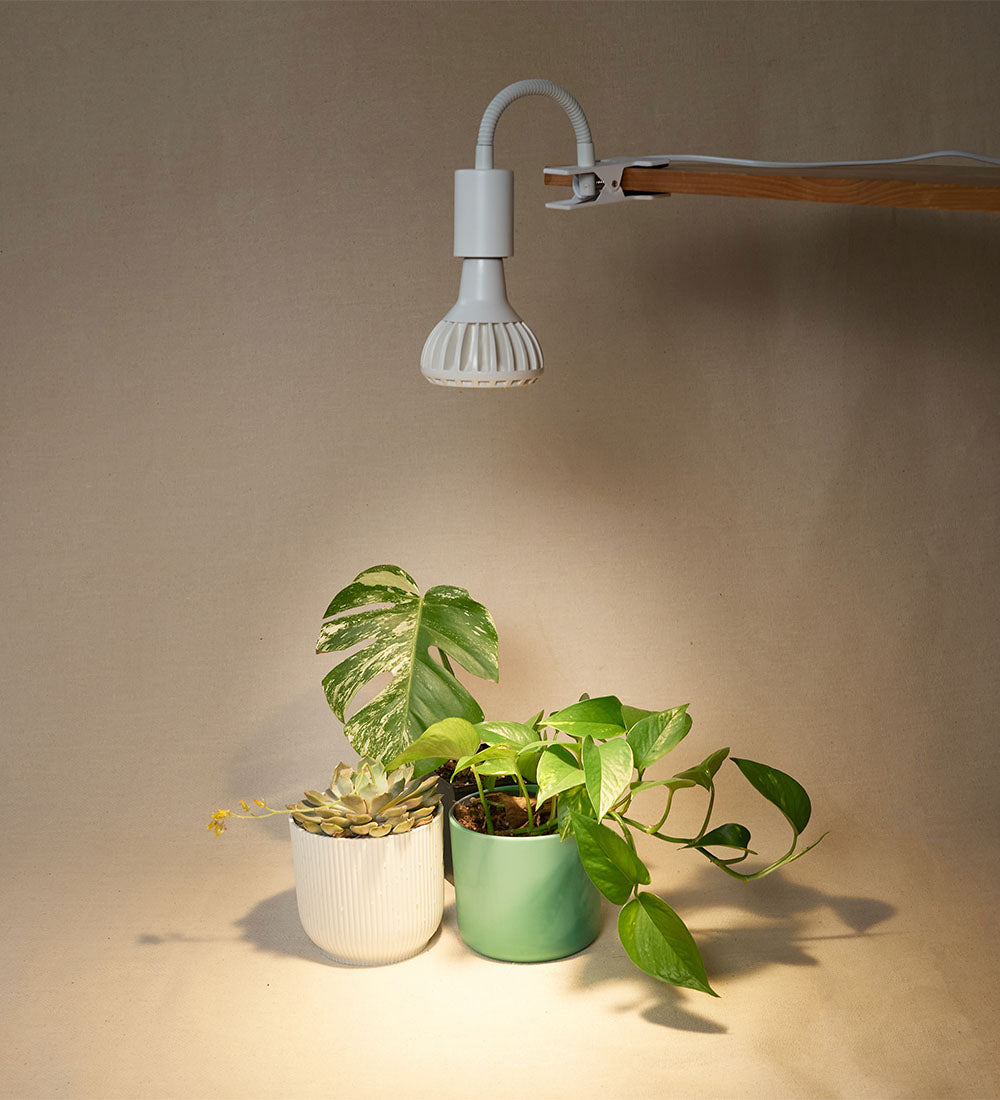 Clip On Grow Light Bulb Holder