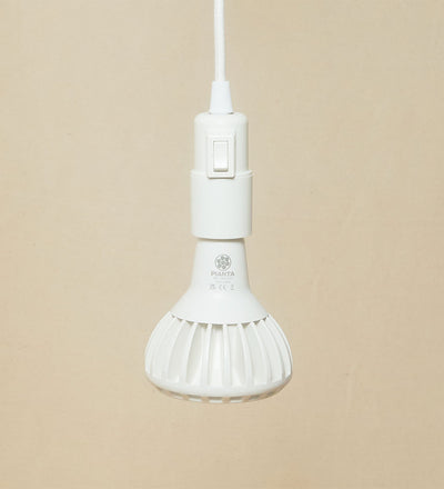 Plug-in Ceiling Pendant and Hook