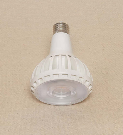 LED Grow Light Bulb