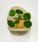Mustard Pot
