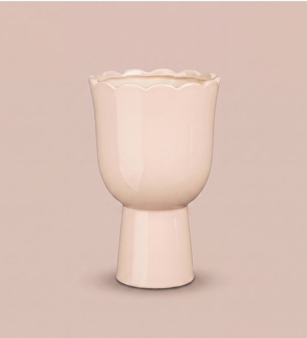 New In Pots