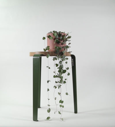 String Of Hearts & Pot