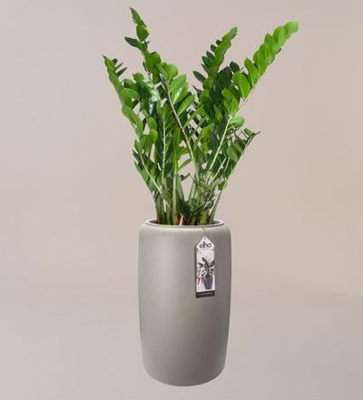 Elho Pure Bead Pot Large Beige