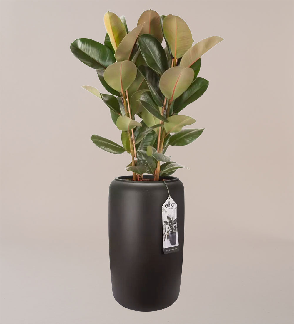 Elho Pure Bead Pot Large Dark Brown
