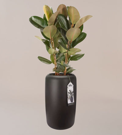 Elho Pure Bead Pot Large Dark Brown