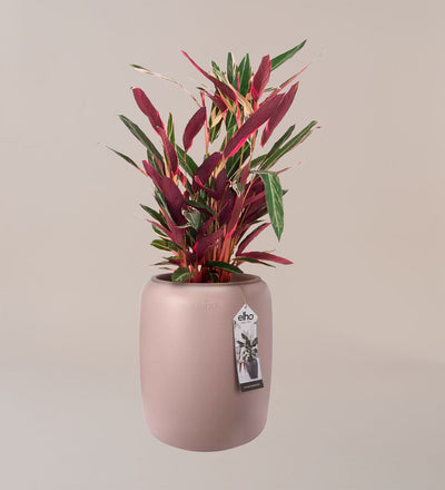 Elho Pure Bead Pot Medium Pink