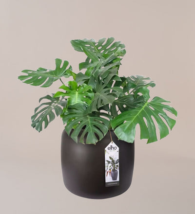 Elho Pure Bead Pot Small Dark Brown