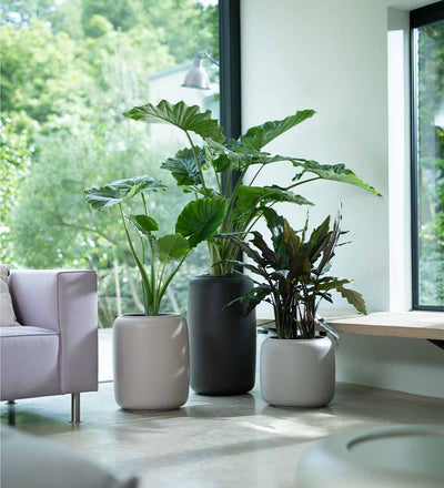 Elho Pure Bead Pot Large Dark Brown