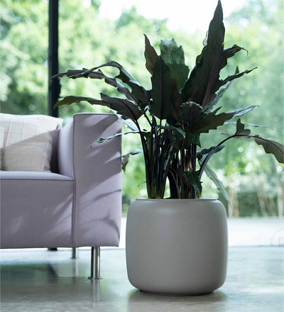Elho Pure Bead Pot Small Beige