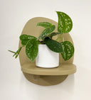 White Pot