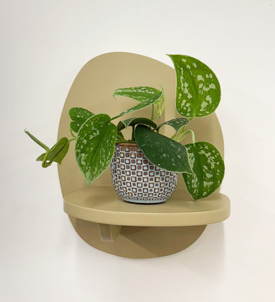 Mini Satin Pothos & Pot