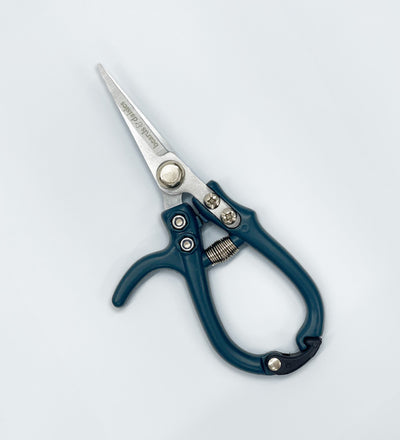 Plant Secateurs