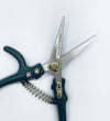 Plant Secateurs