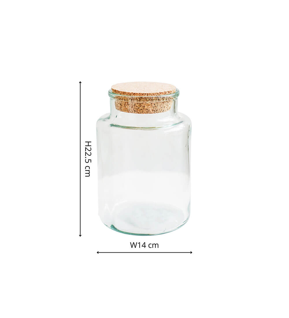 Terrarium Kit