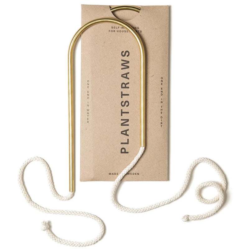 Plant Straw