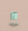 Small mint pot on stand