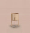 Small pink pot on stand