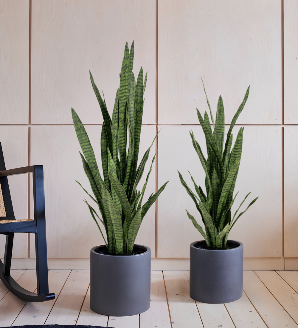 Artificial Snake Plant