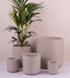 Stone Concrete Pot