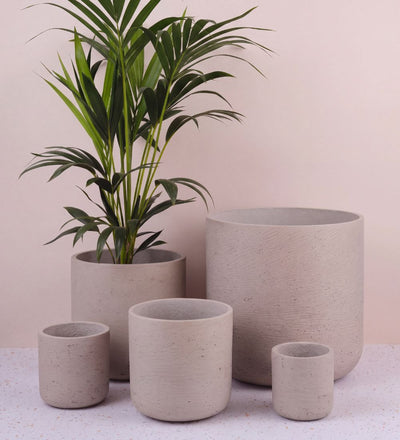 Stone Concrete Pot