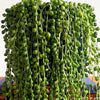String of Pearls & Pot