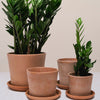 Terracotta Pot With Saucer