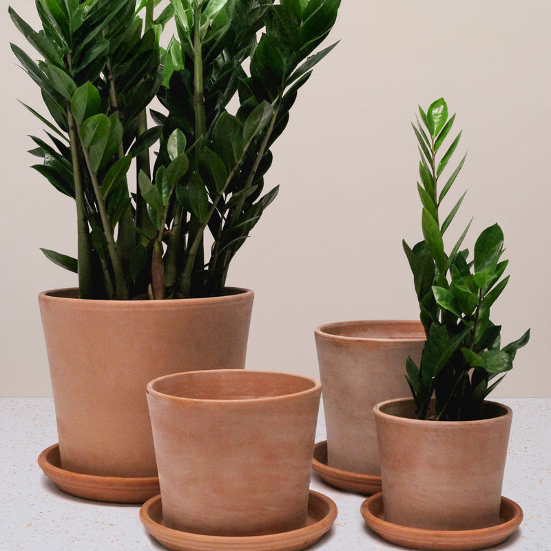 Terracotta Pot With Saucer