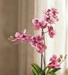 Artificial Pink Orchid & pot