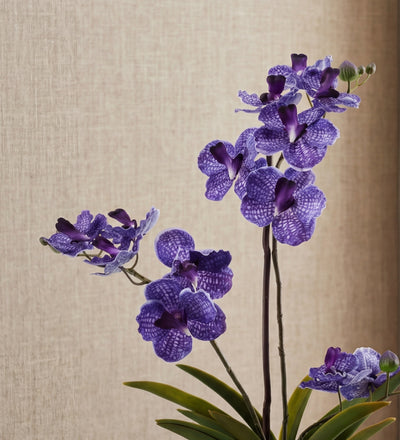 Artificial Purple Orchid & Pot