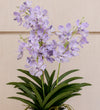 Artificial Purple Orchid