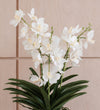 Artificial White Orchid