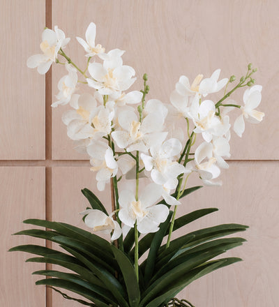 Artificial White Orchid