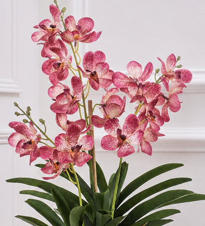 Artificial Pink Orchid