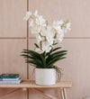Artificial White Orchid