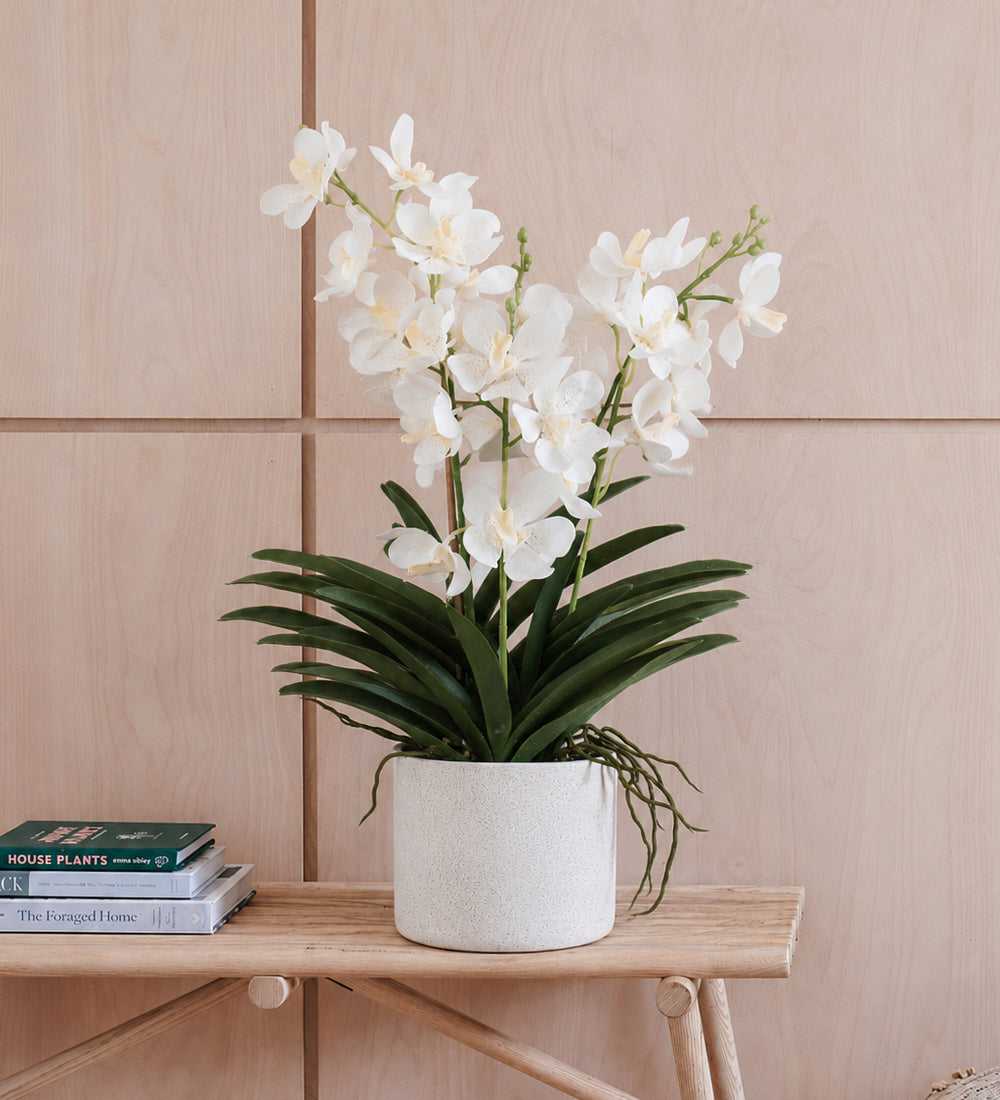 Artificial White Orchid