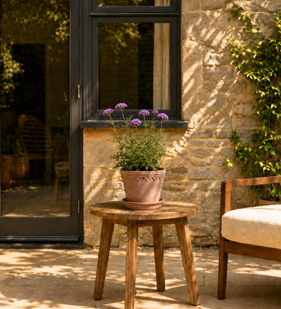 Verbena Trio