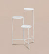 White Plant Stand