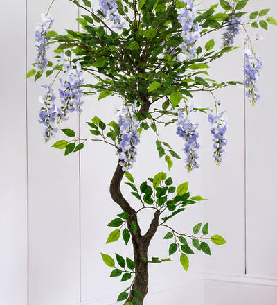 Artificial Wisteria