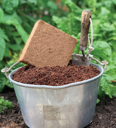 For Peats Sake Peat-Free Compost