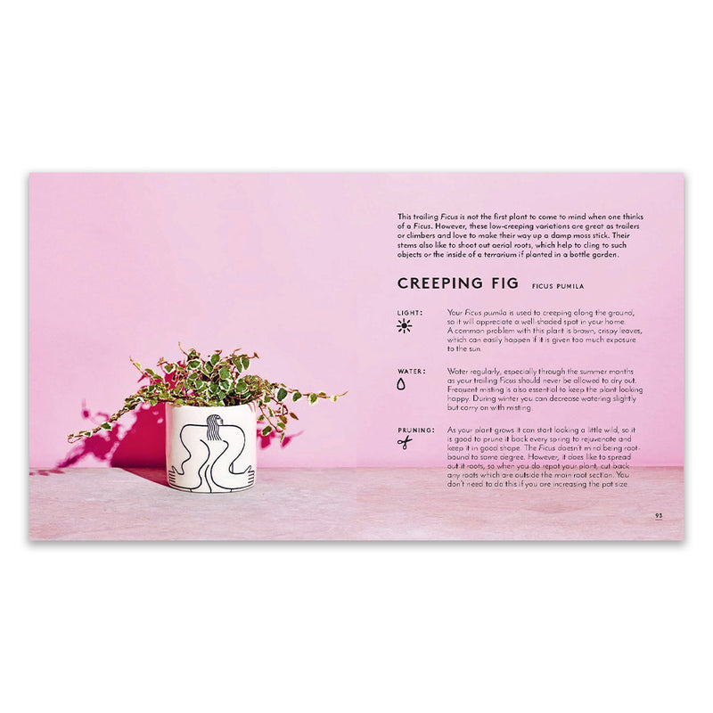 Little Book of House Plants