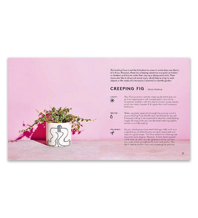 Little Book of House Plants